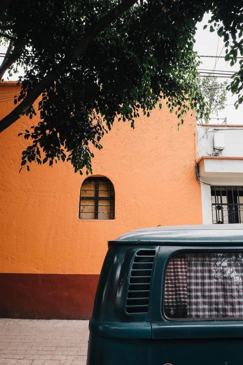Cdmx 15