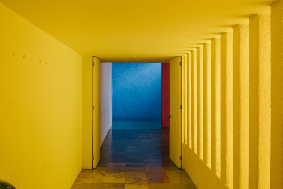 Cdmx 17