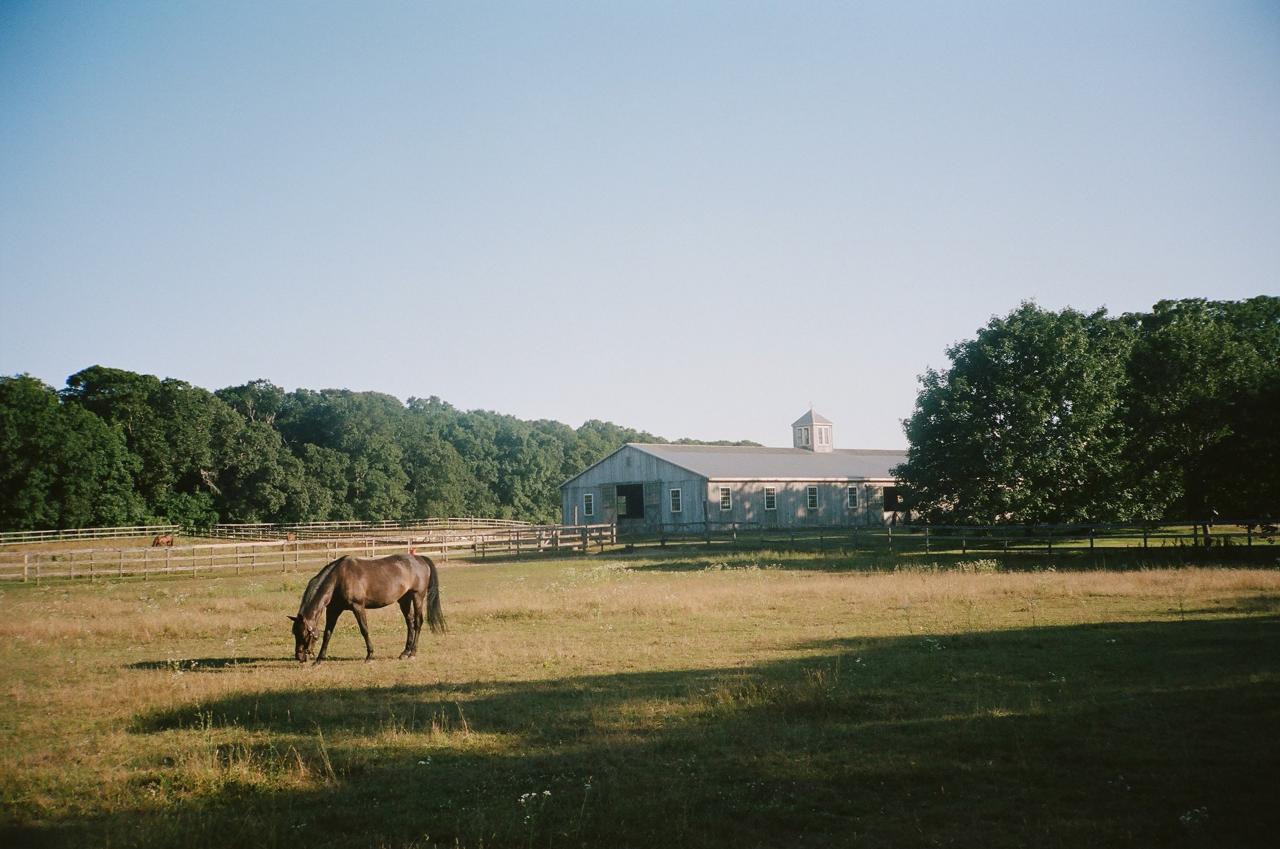 All Film 11 Of 16